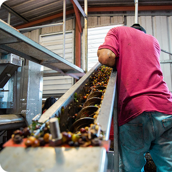 Gestão de despesas para agronegócio - PagCorp Segmentos 01