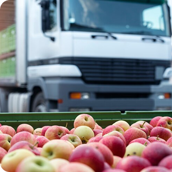 Gestão de despesas para agronegócio - PagCorp Segmentos 04
